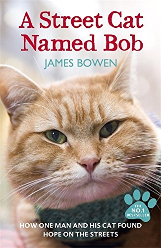 Recenzie: A Street Cat Named Bob (de James Bowen)
